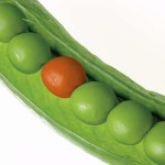 Picture of green peapod with one red pea among green ones